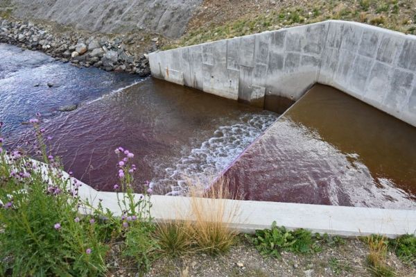 rotenone in water