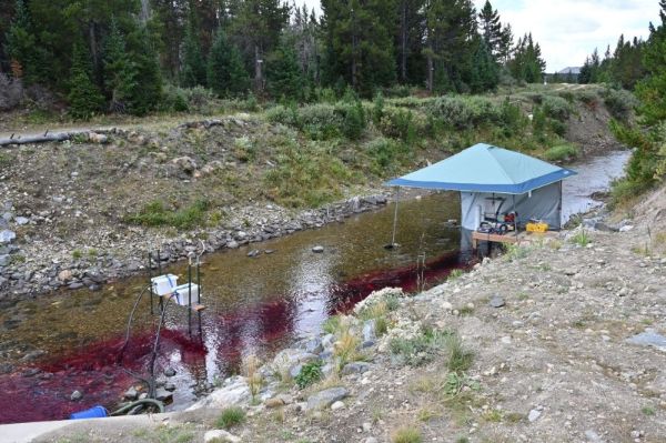 As the water moves downstream, various tests are conducted to ensure the water quality is restored to healthy levels.