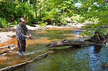 An angler casts for trout on a stream in Marquette County.