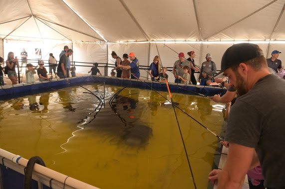 Expo 2024 Fishing Tent