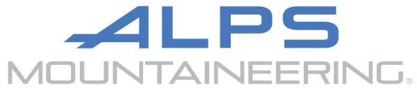 A blue and grey logo Description automatically generated