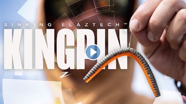 The Kingpin is available in 2 sizes (3- and 5-inch) and twelve colors. The Kingpin is available in 2 sizes (3- and 5-inch) and twelve colors.