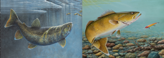 The winning fish artwork featuring fish underwater