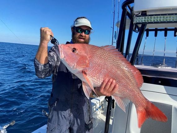 redsnapper