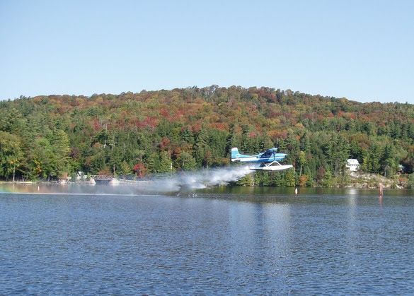 Plane taking off from water with fall foliage in background