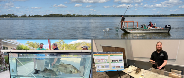  Photo collage; people on boat; people with fish in tank; person with baby alligator 