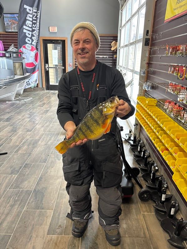 State Record Yellow Perch