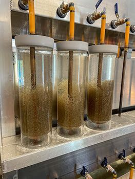 Hatching walleye fry at Thompson State Fish Hatchery.