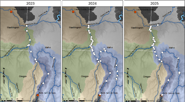 Location of walleye caught in the Clearwater Region and reported to IDFG (2023-20255).