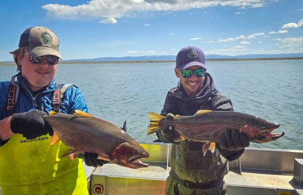 CPW staff holding two large trout