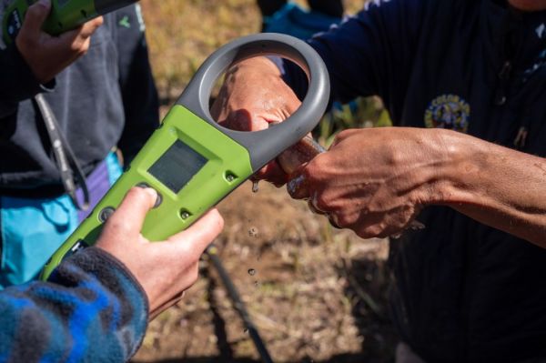 Crew members collected data from the YY trout's Passive Integrated Transponder (PIT) tags.