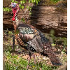 <p>Results from Ohio's Opening Weekend of Wild Turkey Hunting</p>