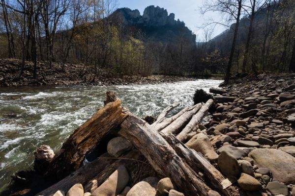A river flowing with Seneca Rocks formation seen in the background.