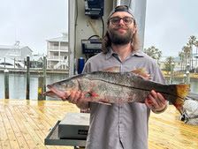 snook