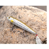 <p>Walk the Dog Bass Water Tips and Tricks: The Livingston Lures Walking Boss</p>