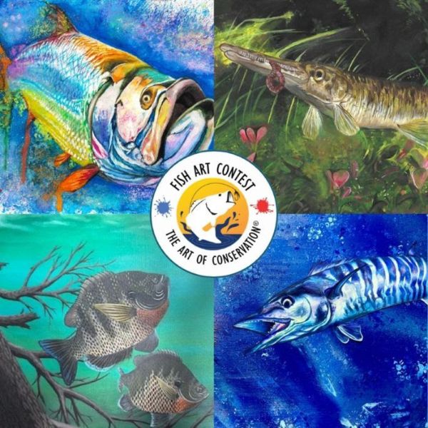 Four Fish Art Contest Winning Images of Fish Under Water with the Fish Art Contest The Art of Conservation Logo in the Center