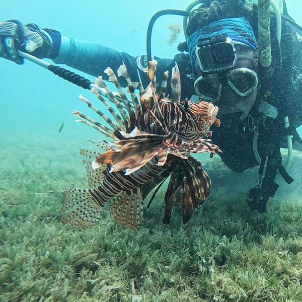 diver with lionfish