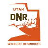 <p>DWR Invites Public to Compete in the Annual Utah Hunting Skills Challenge</p>