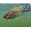 <p>Light Tackle Anglers Introduces Uncle Ted, A Revolutionary Finesse Fishing Lure</p>