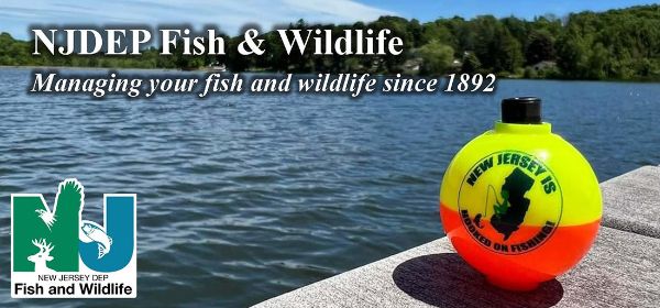 New Jersey Division of Fish and Wildlife