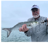 <p>Delaware Revises Recreational Regs For Bluefish To Give Anglers Higher Daily Possession Limit</p>