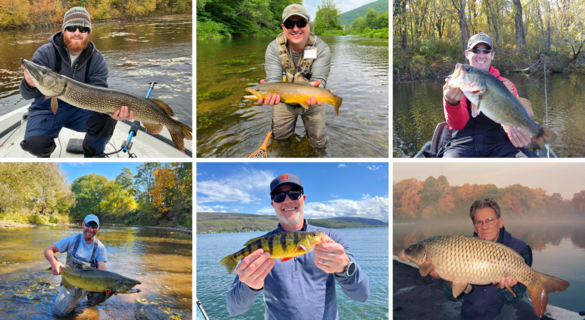 collage of images with anglers and fish in the fall or autumn