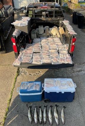 fish in the back of a truck in a driveway