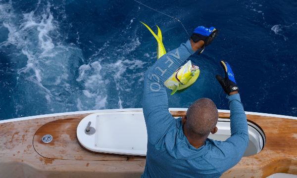 An angler battling a mahi mahi on deck.