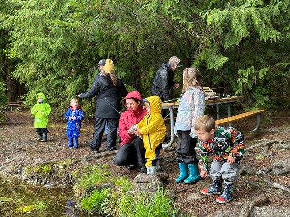 Lowland lakes opener trout