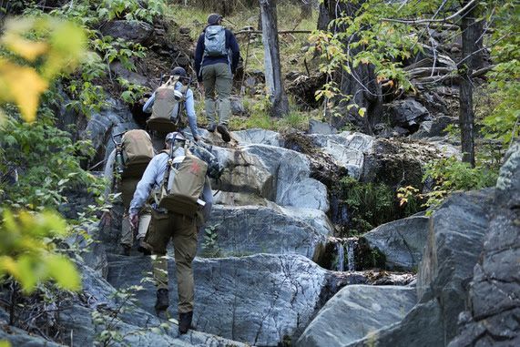 Gila Trout stocking in grapevine creek