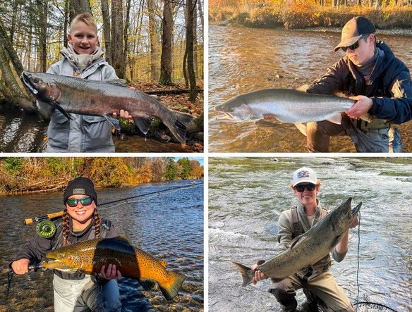 anglers holding up fish and wading in the river (coho - top left, steelhead - top right, brown - bottom left, chinook - bottom right)