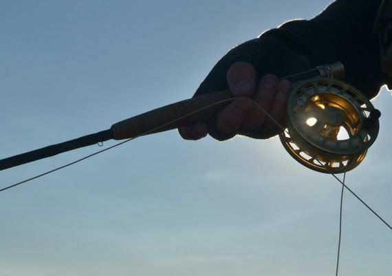 FlyFish