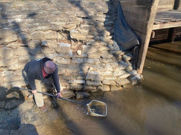 Person releasing fish in lake