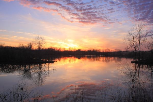 A brilliant and colorful sunset reflects in a pond during twilight.