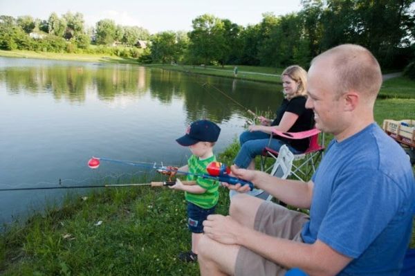 pond to plate