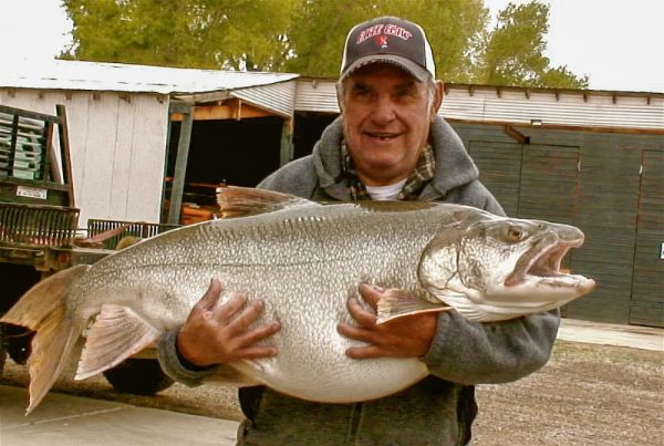 Don Walker State Record Laker