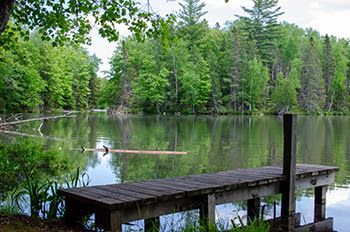 A lake is shown that has been stocked by the DNR and is home to additional non-stocked game species.