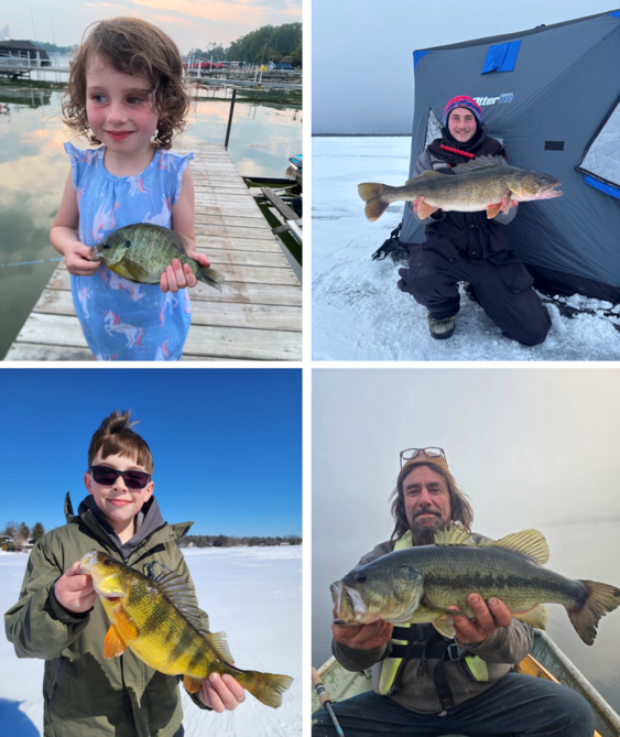 child on a dock holds a bluegill, angler on the ice holds a walleye, child on the ice holds a yellow perch, angler in tin boat holds a largemouth bass