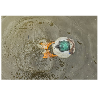 <p>Avian-X's Expanded Power Butt Kicker Motion Decoy Assortment, Including Three New Species, Now Available</p>