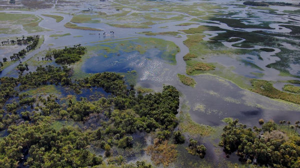 After The same floodplains after Hurricane Milton, illustrating how these natural areas store excess rainwater and help protect our communities during heavy rainfall and severe weather events.