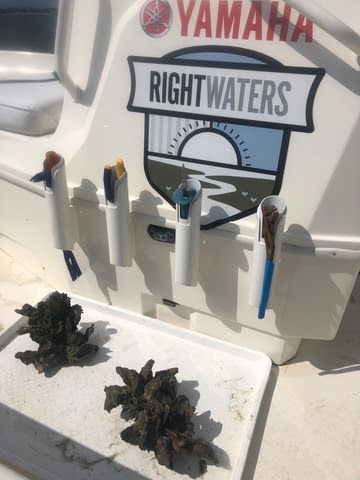 Yamaha Rightwaters™ marked its seventh anniversary on Monday, June 8, World Oceans Day 2026. Launched in 2019, Yamaha Rightwaters continues to support programs that make significant progress in keeping waterways clean and promoting sustainability for generations to come.
