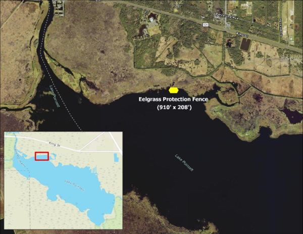 Lake Poinsett Lake Poinsett map with eelgrass project fence