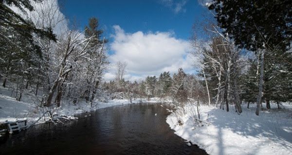 wintertime view of the Little Manistee River, with snow on both forested banks and a crisp, blue sky above