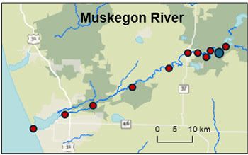 Acoustic telemetry receiver stations will be located along the Muskegon River. Image courtesy of The Nature Conservancy in Michigan