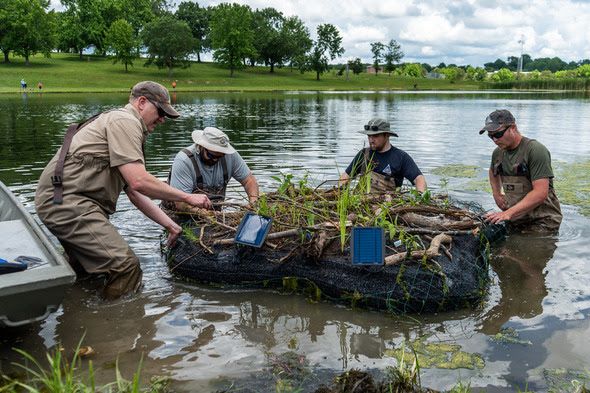 Rolla floating wetlands
