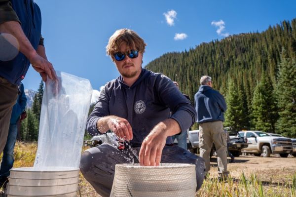 Staff and volunteers bag fish