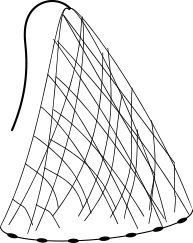 Cast net