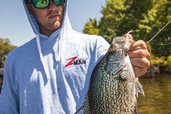 The erratic hunting action of the Micro Finesse ChatterBait draws attention from fish at a distance. The erratic hunting action of the Micro Finesse ChatterBait draws attention from fish at a distance.