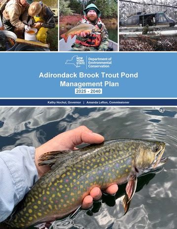 Cover image of the 2025 Adirondack Brook Trout Pond Management Plan