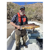 <p>NDOW Conducts Razorback Sucker Survey to Assess Populations in Lake Mohave</p>